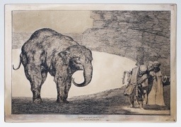 20110923-202829.jpg