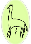 Girafe Anis